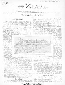 Ziarno : pismo tygodniowe ilustrowane 1902, nr 47