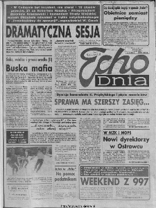Echo Dnia 1993, R.23, nr 41
