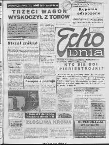 Echo Dnia 1993, R.23, nr 137