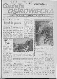Gazeta Ostrowiecka, 1991, nr 18