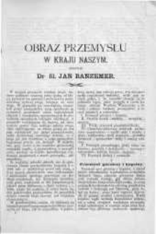Obraz przemysłu w kraju naszym wedle najnowszych źr&oacute;deł urzędowych