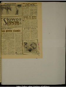 Słowo Ludu : dziennik Polskiej Zjednoczonej Partii Robotniczej, 1988 R.XXXIX, nr 156 (magazyn środowy)