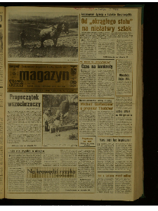 Słowo Ludu : dziennik Polskiej Zjednoczonej Partii Robotniczej, 1989 R.XL, nr 81 (magazyn)