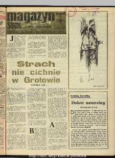 Słowo Ludu : dziennik Polskiej Zjednoczonej Partii Robotniczej, 1990 R.XLI, nr 40 (magazyn)