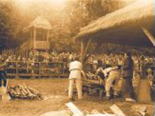 Rekonstrukcja wytopu żelaza (3)