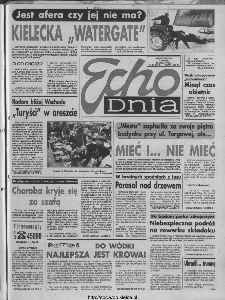 Echo Dnia 1993, R.23, nr 39