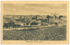 Chmielnik.Widok og&oacute;lny.