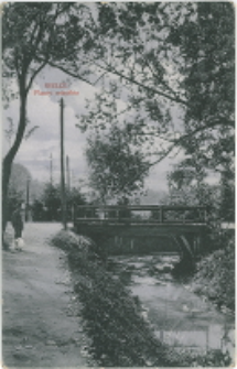 Kielce. Planty miejskie.