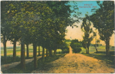 Kielce. Karczówkowska Aleja.