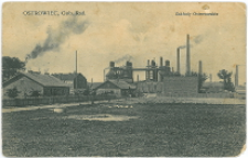 Ostrowiec, Gub. Rad. Zakłady Ostrowieckie.