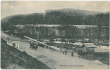 Słowik pod Kielcami.