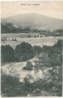 Słowik pod Kielcami.(4)