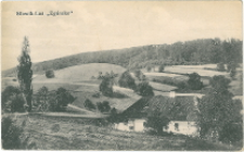 Słowik- Las "Zg&oacute;rsko".