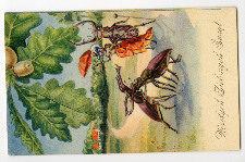 Wesołych Zielonych Świąt